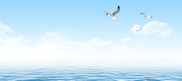 1467884362218601AA9E.jpg talent_ad.jpg