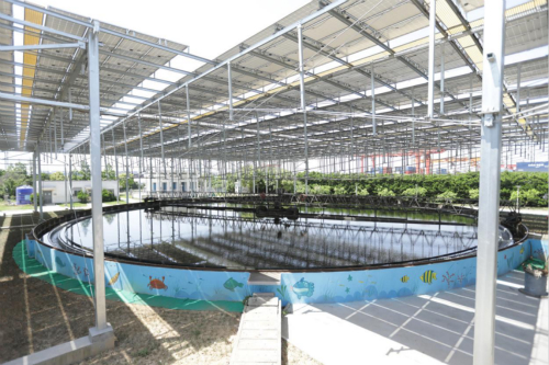 158278976623441448iU.jpg 2_meitu_3.jpg