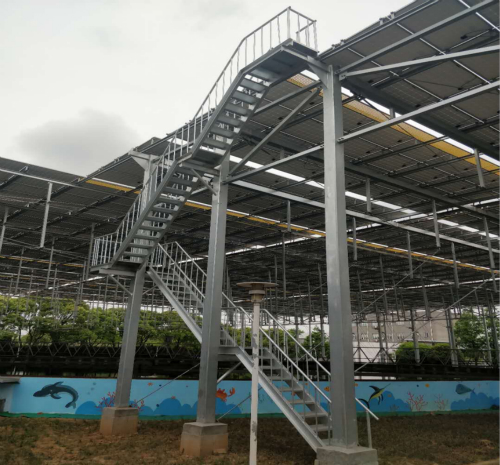 1582789782847817qG4V.jpg 4_meitu_5.jpg